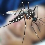 ডেঙ্গুতে আরও ৫ মৃত্যু