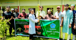 জুড়ীতে শিবিরের বৃক্ষরোপণ কর্মসূচী