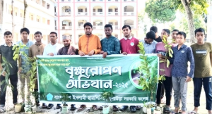 কুলাউড়ায় শিবিরের বৃক্ষরোপণ অভিযান শুরু