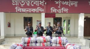 আড়াই কোটি টাকার চোরাই পণ্য জব্দ বিজিবির