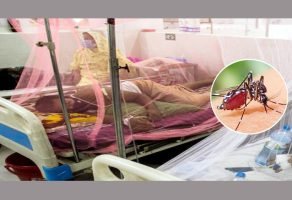 সিলেটে উদ্বেগ ছড়াচ্ছে ডেঙ্গু