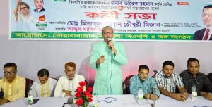 আগামী নির্বাচনে ধানের শীষকে বিজয়ী করতে হবে: মিজান চৌধুরী