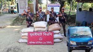 সীমান্তে বিজিবির চোরাই গরু ও সুপারি জব্দ
