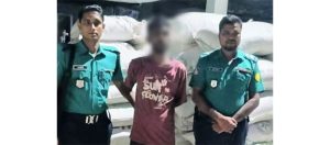 সিলেটে বিপুল ভারতীয় চাপাতাসহ আটক ১