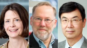 চিকিৎসাবিজ্ঞানে নোবেল পেলেন তিন বিজ্ঞানী