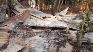 নবীগঞ্জে ছাত্রদল নেতার বাড়িতে হামলা ও অগ্নিসংযোগ: নেপথ্যে জমি নিয়ে বিরোধ