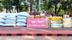 সিলেট সীমান্তে ২ কোটি টাকার চোরাইপণ্য জব্দ