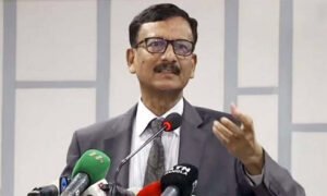 ভারতে বসে হাসিনার বিবৃতি প্রত্যাশা করে না বাংলাদেশ