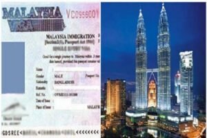 মালয়েশিয়ার ই-ভিসা সেবা অনির্দিষ্টকাল স্থগিত ঘোষণা