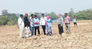 বড়লেখায় কৃষিজমির মাটি কাটায় জরিমানা