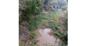 ‎কোদালী খাল শুকিয়ে যাওয়ায় বিপন্ন কৃষি ও পরিবেশ