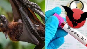 নিপা ভাইরাসে দেশে ‘প্রথম মৃত্যু’