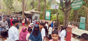 ঈদের ছুটিতে কমলগঞ্জের লাউয়াছড়ায় পর্যটকের ঢল