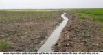 হাকালুকি হাওরে বিল শুকিয়ে চৌচির, নির্বাক প্রশাসন