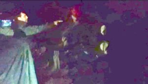 বড়লেখায় বিজিবি সদস্যদের হুমকি-ধমকি দিয়ে ভারতীয় মহিষের চালান পাচার