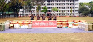 সিলেট সীমান্তে বিজিবির আড়াই কোটি টাকার চোরাইপণ্য জব্দ