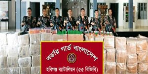 হবিগঞ্জে ১ কোটি টাকার ভারতীয় চোরাইপণ্য জব্দ