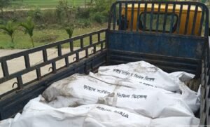 হবিগঞ্জে পিকআপ খাদে পড়ে নারী-শিশুসহ নিহত ৪