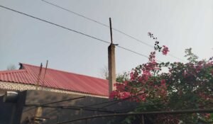 বড়লেখা ও জুড়ীতে গাছে প্লাস্টিকের পাইপে বিদ্যুতের সঞ্চালন লাইন, দুর্ঘটনার শংকা