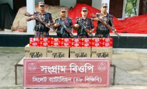 সিলেট সীমান্তে অর্ধকোটি টাকার চোরাইপণ্য জব্দ