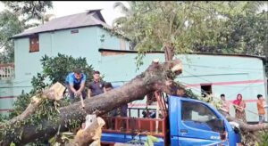 দিরাইয়ে কালবৈশাখী তান্ডবে ব্যাপক ক্ষতি