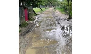 দোয়ারায় রাস্তা নয় যেন মরণফাঁদ