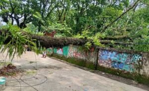 গোয়াইনঘাটে কালবৈশাখী ঝড়ে ব্যাপক ক্ষতি বজ্রপাত ও বিদ্যুৎস্পৃষ্টে নিহত ২