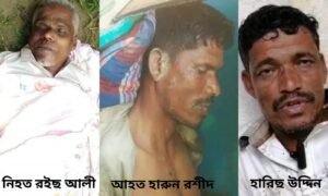 কানাইঘাটে গাছ পড়ে নিহত ১