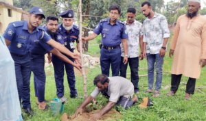 ভোলাগঞ্জ ফাঁড়িতে সজনে বাগান রোপণ