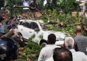 উত্তরপ্রদেশে ঝড় ও ভারীবর্ষণে মৃত শতাধিক