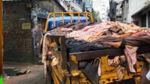 চামড়া নিয়ে দুঃসংবাদ : দাবিতে অনড় কওমি মাদরাসা, ঢাকাসহ বিভিন্ন জেলায় সংহতি
