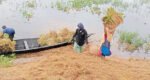 হবিগঞ্জে বন্যায় ৩শ ৪০ কোটি টাকার ফসলের ক্ষতি