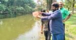 শাবির লেকে ৫ হাজার মাছের পোনা অবমুক্ত
