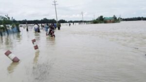 বাড়ছে নদীর পানি, বাড়ছে আতঙ্ক: সিলেটে তলিয়ে গেছে ৩৪ হাজার হেক্টর জমির ধান 