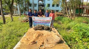 হাকালুকি হাওরে নিষিদ্ধ জাল ও পোনা জব্দ