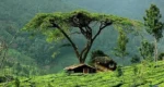 নানামুখী সংকটে ঈদে পর্যটক খরার শঙ্কা