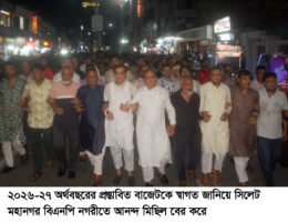 বাজেটকে স্বাগত জানিয়ে মহানগর বিএনপির আনন্দ মিছিল