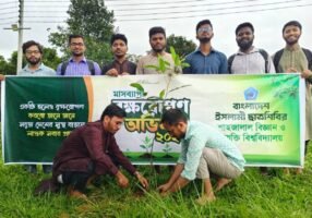 শাবিতে শিবিরের বৃক্ষরোপণ কর্মসূচি