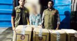 কুশিঘাটে বিপুল ভারতীয় নাসির বিড়িসহ আটক ১