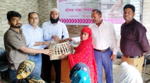 জামালগঞ্জে বিনামূল্যে হাঁসের বাচ্চা বিতরণ