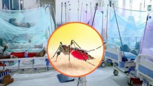 সিলেটে আরও ৮ ডেঙ্গুরোগী শনাক্ত