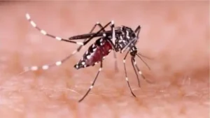 ২৪ ঘণ্টায় ডেঙ্গুতে ৮ জনের মৃত্যু