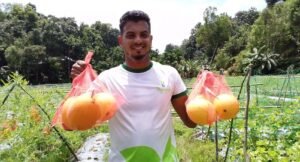 জুড়ীতে আধুনিক পদ্ধতিতে তরমুজ চাষে পরিবেশকর্মী খোরশেদের সাফল্য
