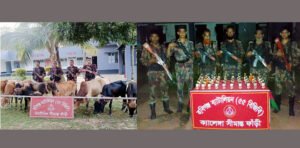 হবিগঞ্জে ভারতীয় মদ ও গরু জব্দ