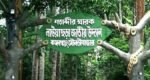 সংকটে মৌলভীবাজারের সংরক্ষিত বনাঞ্চল, লোকালয়ে বন্যপ্রাণী