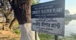 ছাতকে এক বছর পর চালু কংক্রিট স্লিপার প্লান্ট