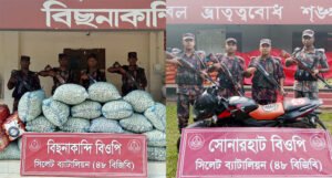 সিলেট সীমান্তে বিজিবির ২৬ লাখ টাকার চোরাইপণ্য জব্দ