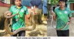 খাসদবিরে অজগর ও সালুটিকরে দুধরাজ উদ্ধার