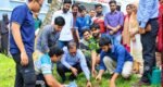 হবিগঞ্জ কৃষি বিশ্ববিদ্যালয়ে বৃক্ষরোপণ কর্মসূচি