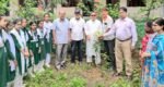 কিশোরী মোহন বালিকা উচ্চবিদ্যালয়ে বৃক্ষরোপণ কর্মসূচি